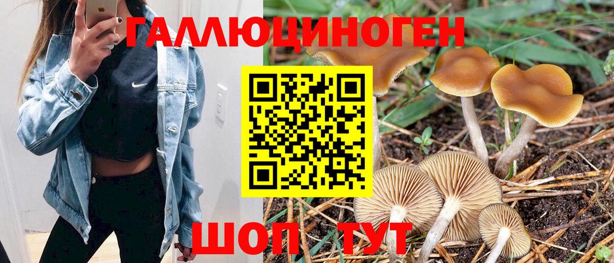 Псилоцибиновые грибы прущие грибы  Вход с VPN  Губкинский 