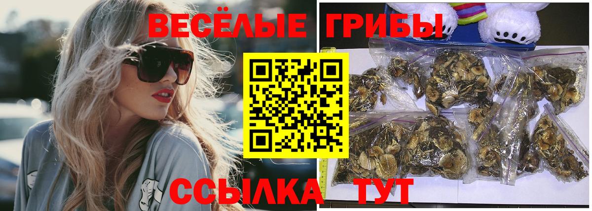 Псилоцибиновые грибы мухоморы Губкинский